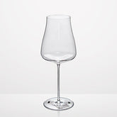 Z1872  Rioja Wine Classics Set of 2